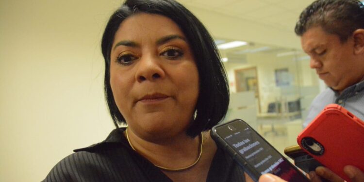 Alistan “armas” diputados electos de Morena