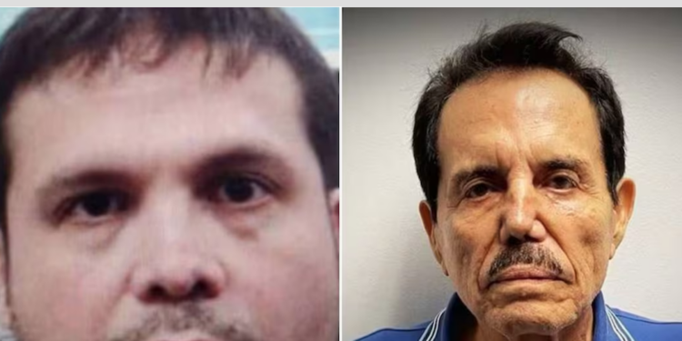 «El Mayo» se reunió con hijo de «El Chapo» porque pensaba que iba a mediar en una disputa entre políticos: NYT