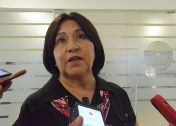 Es Taide Garza Guerra, nueva presidenta de la Codhet