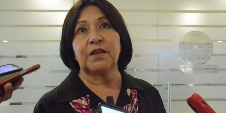 Es Taide Garza Guerra, nueva presidenta de la Codhet