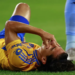 Polémico meme contra Tigres; NY exhibe a un gatito