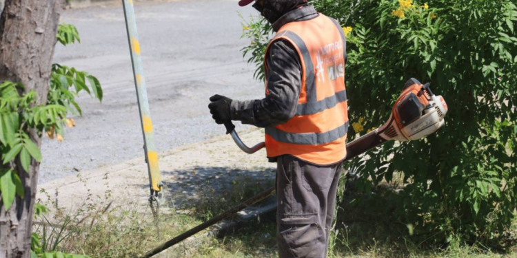 Multiplica Gobierno de Victoria labores de mantenimiento urbano
