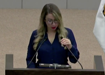 Admite diputada del PAN enfrentar inhabilitación