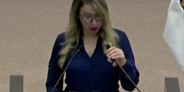 Admite diputada del PAN enfrentar inhabilitación
