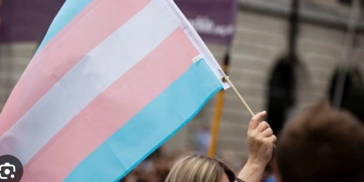 Morena propone incluir en el código penal el transfeminicidio