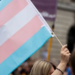 Morena propone incluir en el código penal el transfeminicidio