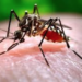 La ciudadania es la principal culpable de tanto dengue, acusa diputado