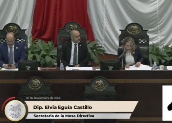 Diputados del PAN proponen sesionar a distancia