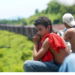 Pide PVEM activar mecanismo de protección a jóvenes migrantes
