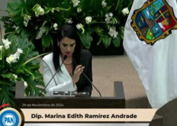 «No nos abandonen», pide diputada de San Fernando