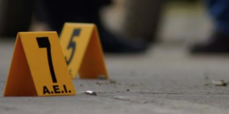 Comando ejecuta a nueve en Guanajuato; entre ellas hay un bombero y un paramédico