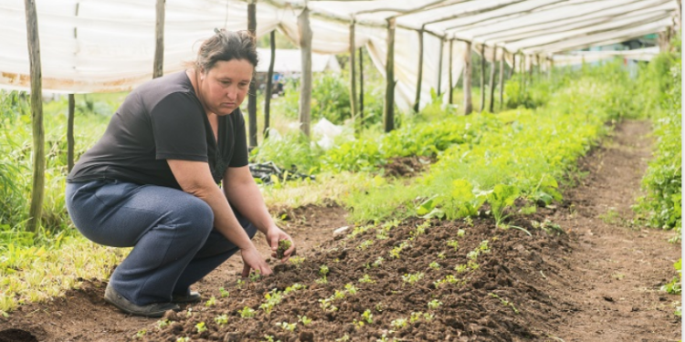 Mujeres del campo denuncian abandono del gobierno