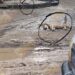 Denuncian envenenamiento masivo de perros en Mante.
