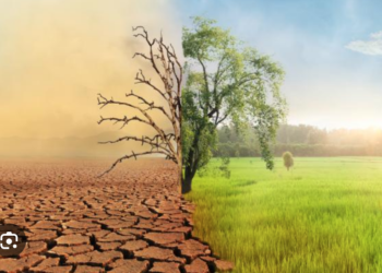 Cambio climático causa daños anuales por 14 mmdp en Tamaulipas
