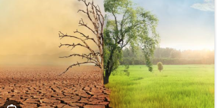 Cambio climático causa daños anuales por 14 mmdp en Tamaulipas