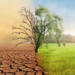 Cambio climático causa daños anuales por 14 mmdp en Tamaulipas