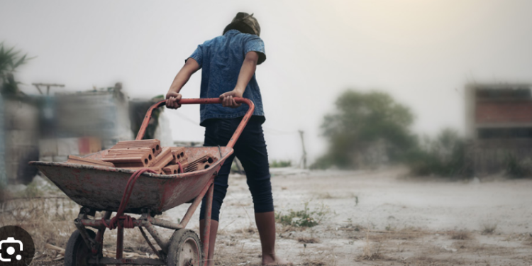 Capacitarán a servidores públicos en combate al trabajo infantil y trata de personas.