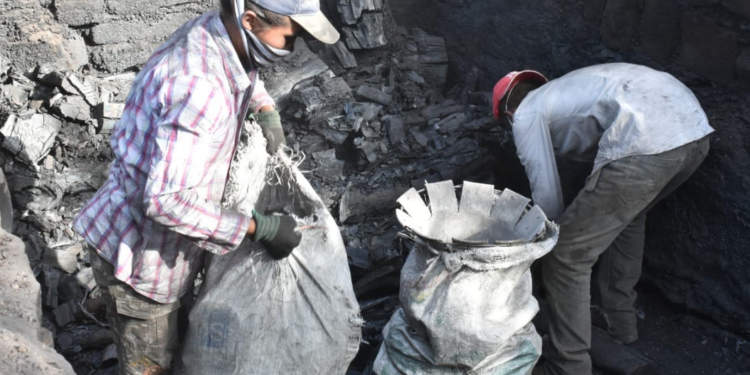 Ocupa Tamaulipas segundo lugar a nivel nacional en producción de carbón