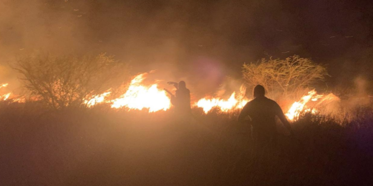Endurecerán castigo para quienes causen incendios forestales en Tamaulipas.