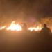 Endurecerán castigo para quienes causen incendios forestales en Tamaulipas.