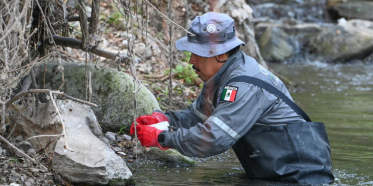 Unen esfuerzo gobierno y sociedad para sanear el río San Marcos, de la Capital