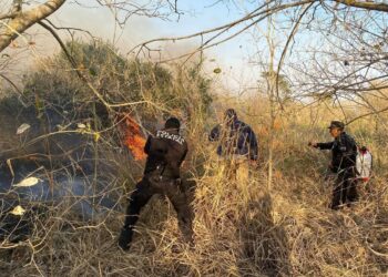Tamaulipas en llamas: movilizan a Guardia Estatal ante incendios en 11 municipios
