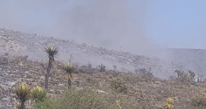 Incendio de pastizales en Tula fue provocado: PAUT