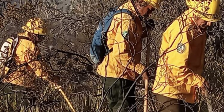 Refuerzan brigadistas de Seduma combate a incendios en Tula