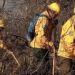 Refuerzan brigadistas de Seduma combate a incendios en Tula
