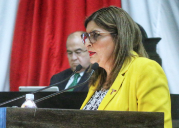 Darán al sur transporte de primera; invertirán 2,650 millones de pesos.