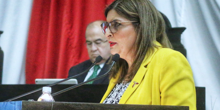 Darán al sur transporte de primera; invertirán 2,650 millones de pesos.