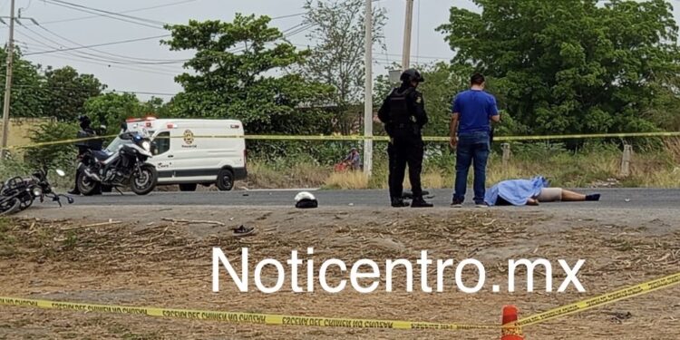 TRAILER MATA A SEÑORA.