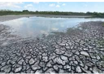Sequía deja «respirar» a Tamaulipas