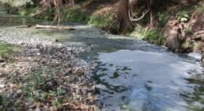 Victorenses siguen contaminando el San Marcos