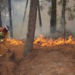 Castigarán hasta con 10 años de prisión a quien provoque un incendio forestal.