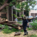 Activa Gobierno de Victoria operativo por periodo de lluvias