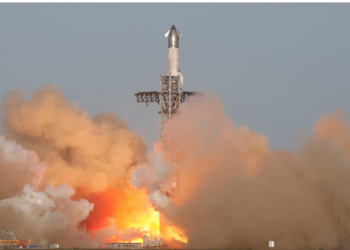 Explosión de cohete Starship afecta fauna marina en costas de Tamaulipas