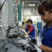 Tamaulipas mantiene liderazgo en empleo maquilador pese a leve retroceso nacional
