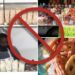 Exigen frenar a “Niños Dillers” que venden comida “chatarra” en escuelas