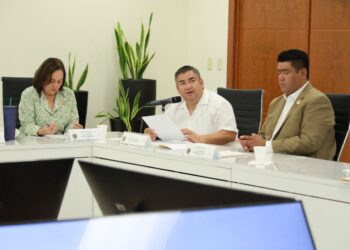 Dejarían sin herencia a agresores familiares.