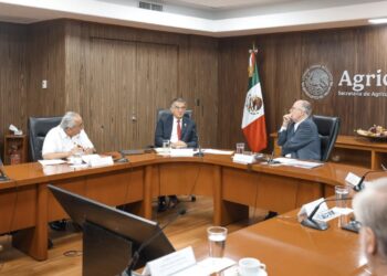 Américo Villarreal acuerda con SADER apoyos y vigilancia fitosanitaria para el campo tamaulipeco