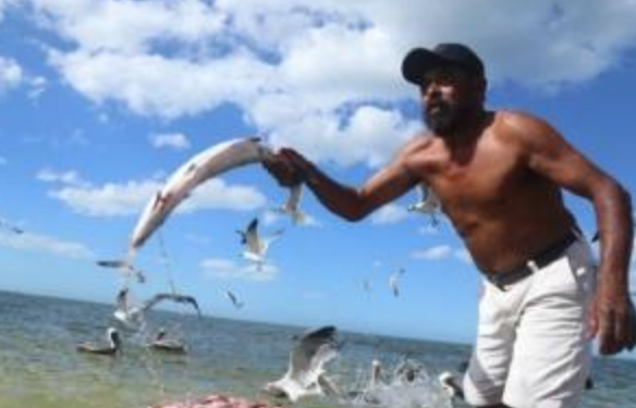 Levantan veda y reactivan pesca del robalo en costas de Tamaulipas