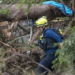 Suman 52 muertos en Texas; Trump declara zona de emergencia.