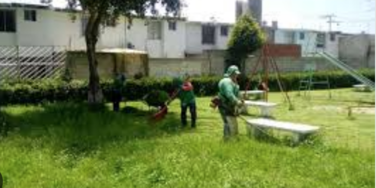 Meterán en cintura a fraccionadores