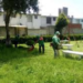 Meterán en cintura a fraccionadores
