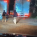 Policías cobran cuotas de la mafia