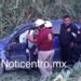 Evita choque frontal y acaba entre los matorrales.