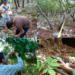 Busca la UAT conservar bosques de encino con tecnología geoespacial