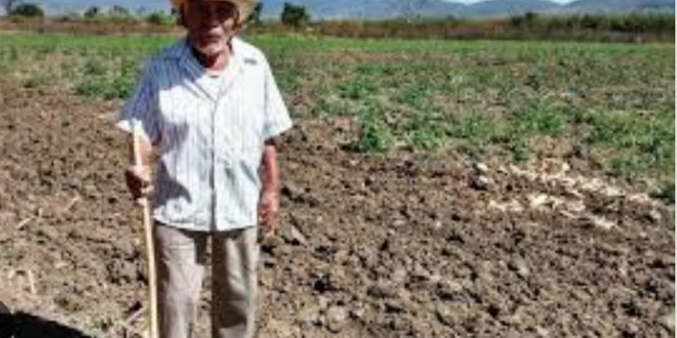 «El campo se está muriendo», advierte diputada del PAN.