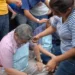 Castigarán con más severidad  las agresiones contra maestros.